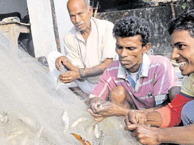 Fishermen taking out small fish from a net in Dhanbad on Friday. (Bijay/HT photo) Fishermen taking out small fish from a net in Dhanbad on Friday. (Bijay/HT photo)