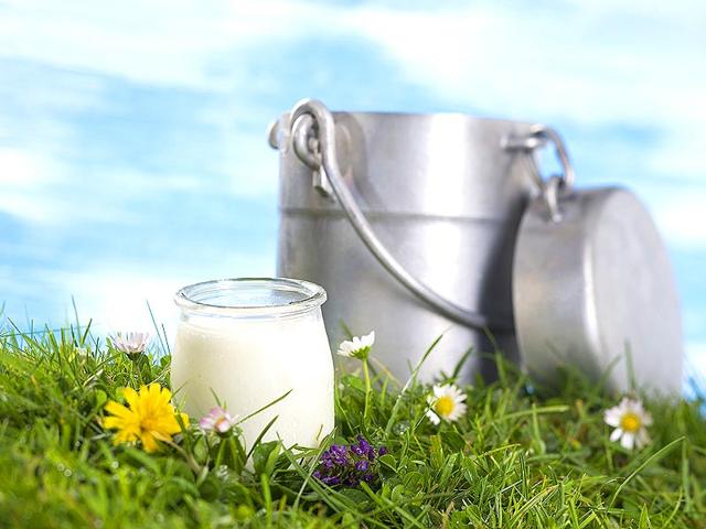 Yoghurt boosts immunity against acidity, indigestion and infections. (Shutterstock) Yoghurt boosts immunity against acidity, indigestion and infections. (Shutterstock)