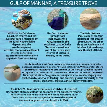 A gulf of trouble for Mannar, India’s climate change hotspot A gulf of trouble for Mannar, India’s climate change hotspot