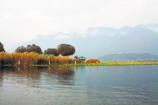 Dal Lake in Srinagar. (Photo: Sarit Ray)