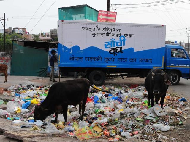 Rampant use of plastic poses a grave threat to environment all over Madhya Pradesh. (Mujeeb Faruqui/HT photo) Rampant use of plastic poses a grave threat to environment all over Madhya Pradesh. (Mujeeb Faruqui/HT photo)