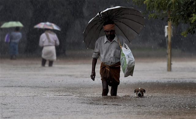Chennai’s residents have had to cope with excess floods, heavy rainfall and limited supplies. (PTI Photo) Chennai’s residents have had to cope with excess floods, heavy rainfall and limited supplies. (PTI Photo)