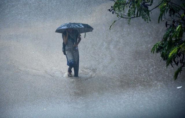 A woman walks under an umbrella on Chennai roads during heavy rains. (AFP) A woman walks under an umbrella on Chennai roads during heavy rains. (AFP)