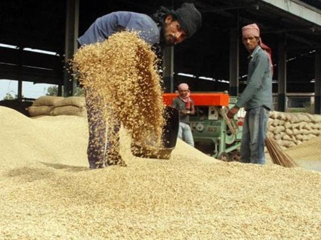 While arhtiyas (commission agents) and traders made quick gains by playing on price movements, the government has been found wanting in its response. (HT Photo) While arhtiyas (commission agents) and traders made quick gains by playing on price movements, the government has been found wanting in its response. (HT Photo)