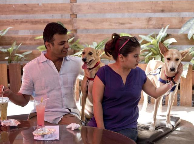 Launched a couple of years ago, Mutt Hutt, a pop-up pet café’s tagline reads ‘humans allowed’(Jyotsna Thaval) Launched a couple of years ago, Mutt Hutt, a pop-up pet café’s tagline reads ‘humans allowed’(Jyotsna Thaval)