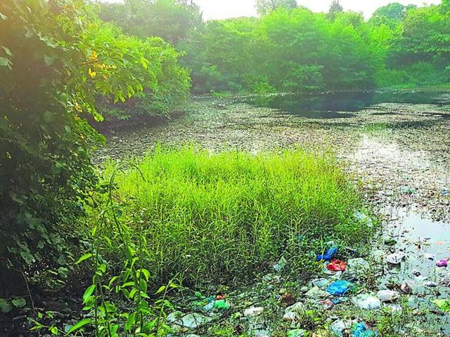 The Aarey Colony lake is full of construction debris. (HT photo) The Aarey Colony lake is full of construction debris. (HT photo)