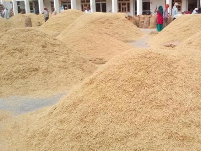 Haryana Rice Millers Association dismissed all the allegations levelled by opposition parties, including the Congress, and denied any role in procurement of paddy. (HT Photo) Haryana Rice Millers Association dismissed all the allegations levelled by opposition parties, including the Congress, and denied any role in procurement of paddy. (HT Photo)