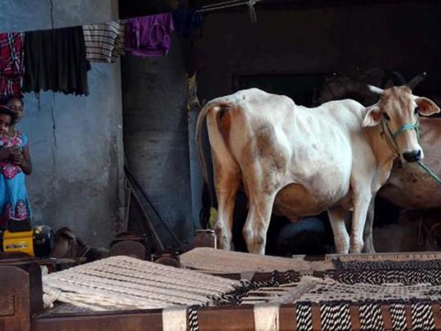 Ikhlaq was lynched at Bisada village on September 28 over rumours that he had slaughtered a cow. (PTI/ File Photo) Ikhlaq was lynched at Bisada village on September 28 over rumours that he had slaughtered a cow. (PTI/ File Photo)