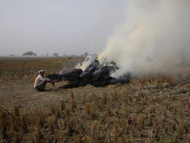 Farmers burn paddy stubble after harvesting rice on the outskirts of Allahabad, India. (AP) Farmers burn paddy stubble after harvesting rice on the outskirts of Allahabad, India. (AP)