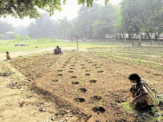 A committee comprising members of NGO Uthaan, MNC Fluor Daniel and residents has been maintaining Adarsh Park. (Sanjeev Verma/HT Pho) A committee comprising members of NGO Uthaan, MNC Fluor Daniel and residents has been maintaining Adarsh Park. (Sanjeev Verma/HT Pho)