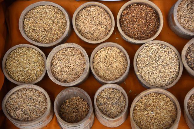 Different types of grains are displayed. (AFP) Different types of grains are displayed. (AFP)