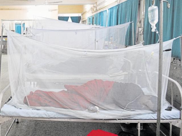 At least 25 malaria outbreaks have been reported in the state this year from Gopikandar, Ramgarh, Masalia and Kathikund villages of the Santhal Pargana. (Diwakar Prasad/HT Photo) At least 25 malaria outbreaks have been reported in the state this year from Gopikandar, Ramgarh, Masalia and Kathikund villages of the Santhal Pargana. (Diwakar Prasad/HT Photo)