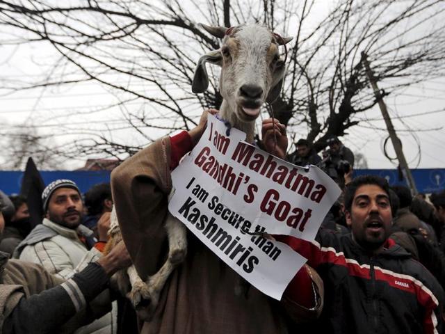 Supporters of Engineer Rashid carry a goat as they shout slogans during a demonstration to mark International Human Rights Day in Srinagar. (REUTERS)