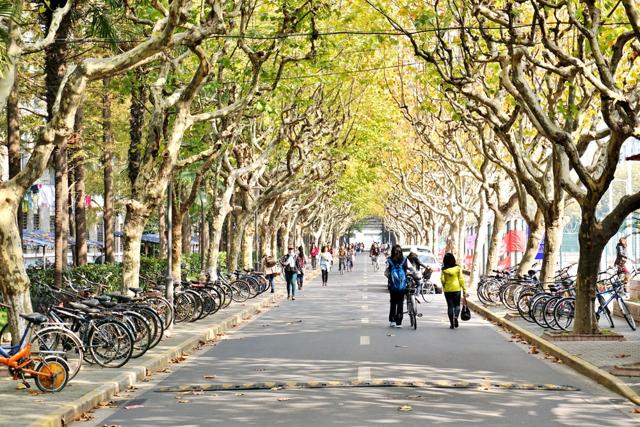 The supreme court said Lin’s action was “abominable” and his crime “extremely severe” as he knowingly used a hazardous chemical to poison the victim