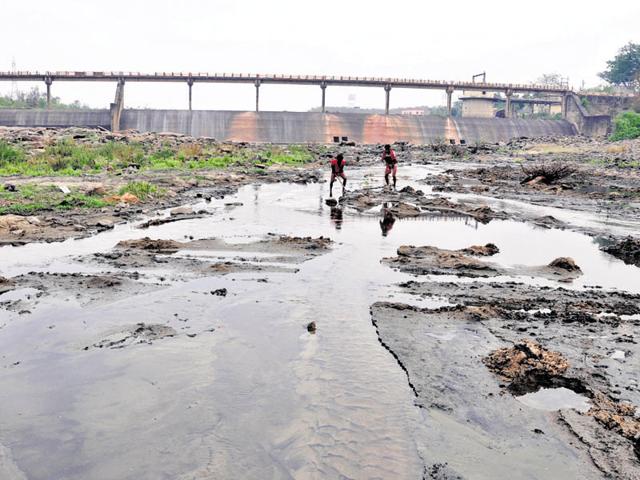 Pollution board has identified 207 km of stretches along eight rivers with high toxin levels.(Bijay/HT Photo) Pollution board has identified 207 km of stretches along eight rivers with high toxin levels.(Bijay/HT Photo)