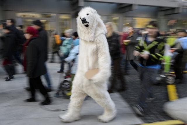 A person dressed as a polar bear walks in Geneva. (AFP) A person dressed as a polar bear walks in Geneva. (AFP)