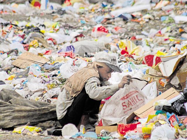 Plastic bags clog up major areas of Noida.(HT File Photo)
