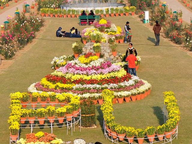 Along with the many varieties of chrysanthemums, 2,700 potted plants and 25 types of flower arrangements are also on display at the show. (Ravi Kumar/HT Photo)