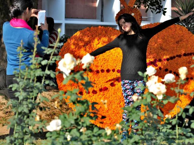 196 varieties of the chrysanthemum flower are on display at the show in Chandigarh. The six-day long event is being held at the Prof RC Paul Rose Garden in Panjab University. (Ravi Kumar/HT Photo)