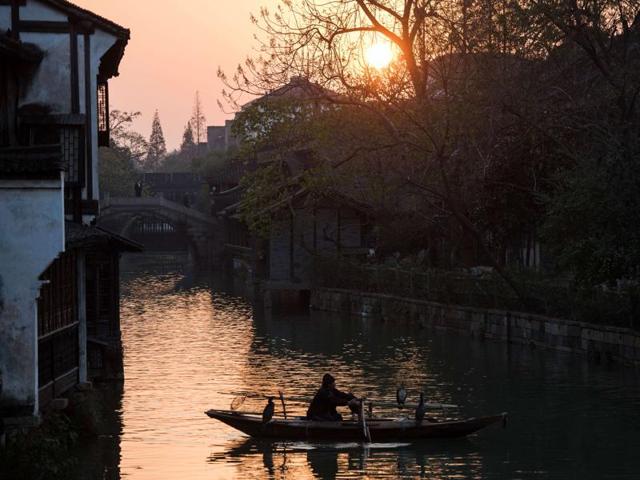 A canal cleaner dressed as a cormorant fisherman for tourists rows his boat in Wuzhen, China. (AFP) A canal cleaner dressed as a cormorant fisherman for tourists rows his boat in Wuzhen, China. (AFP)