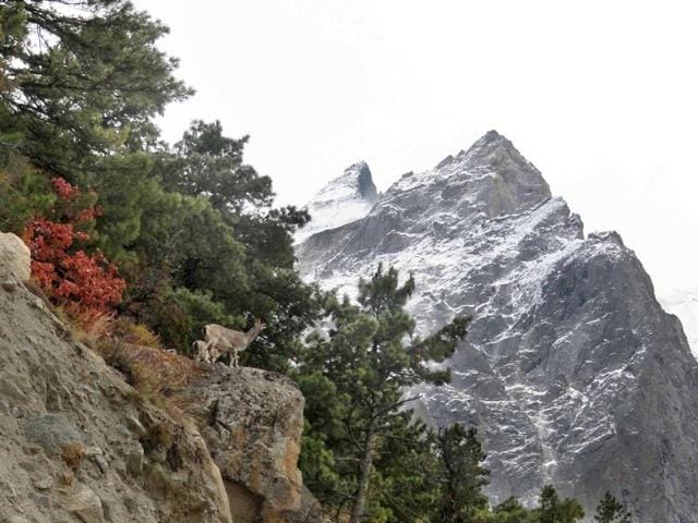 A view of Nelong Valley in Uttarkashi district, India.(Photo by Neha Pant/Hindustan Times) A view of Nelong Valley in Uttarkashi district, India.(Photo by Neha Pant/Hindustan Times)