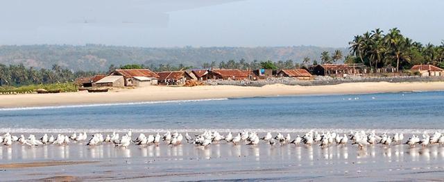 Vengurla is a beautiful coastal town with an excellent beach and a port (Photo: MTDC)