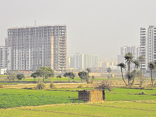 A councillor had filed a PIL challenging the allotment of public land to the developers in Raj Nagar Extension. (Sakib Ali/Representative Photo) A councillor had filed a PIL challenging the allotment of public land to the developers in Raj Nagar Extension. (Sakib Ali/Representative Photo)