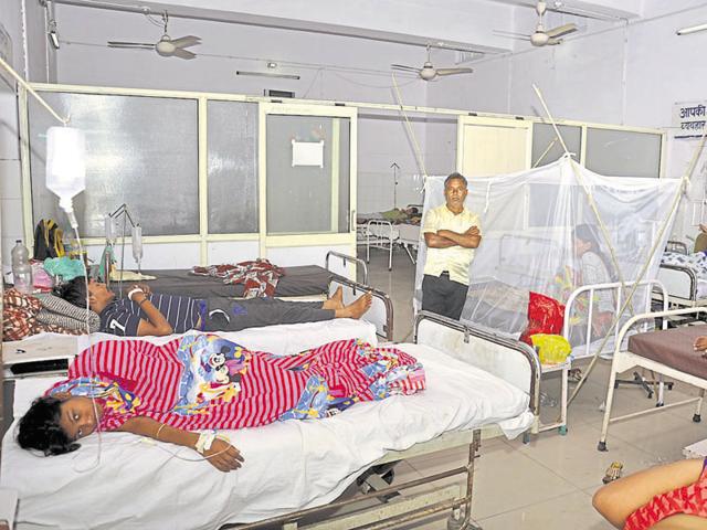 The number of positive dengue cases in the city has reached 596. A total of 4,000 samples were screened this year.(HT File Photo)