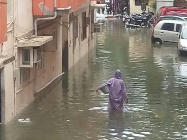 Radha didn’t have to get to work. Nobody would have rebuked her for failing to show up on a day when milk was being sold in the black market for Rs 100 a litre(Padma Ramani/ Twitter)