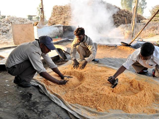 ‘Shakkar’ is also prepared from sugarcane by crushing the hot solution taken out of the furnace. (Pardeep Pandit/HT Photo)