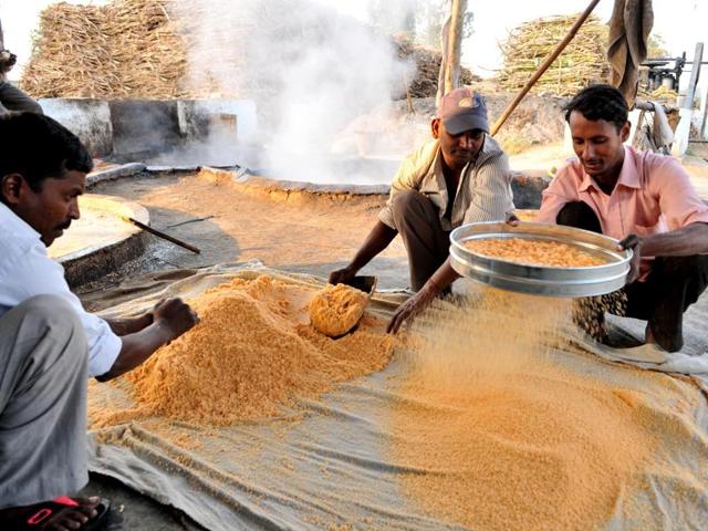 The crushed jaggery is then sieved and ‘Shakkar’ is ready to be sold and savoured with ‘Makki di roti’ and ‘sarso da saag’. (Pardeep Pandit/HT Photo)