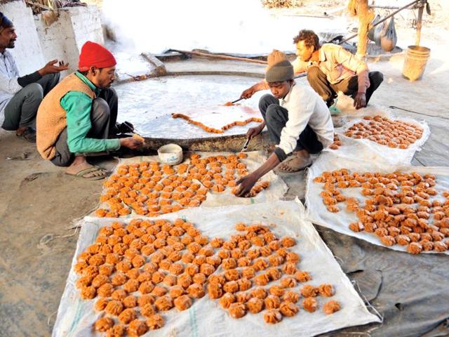 After jaggery cools down, it is given the desired shape. (Pardeep Pandit/HT Photo)