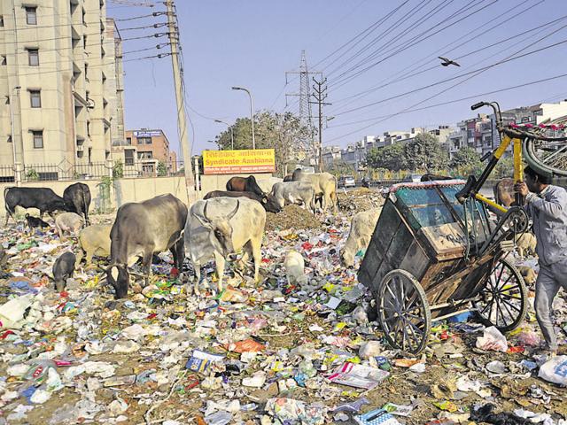 The situation in Ghaziabad remains grim due to the rampant use of polythene carry bags. Environment activists said enforcing the ban on the ground will be the major challenge.(Sakib Ali / HT photo)