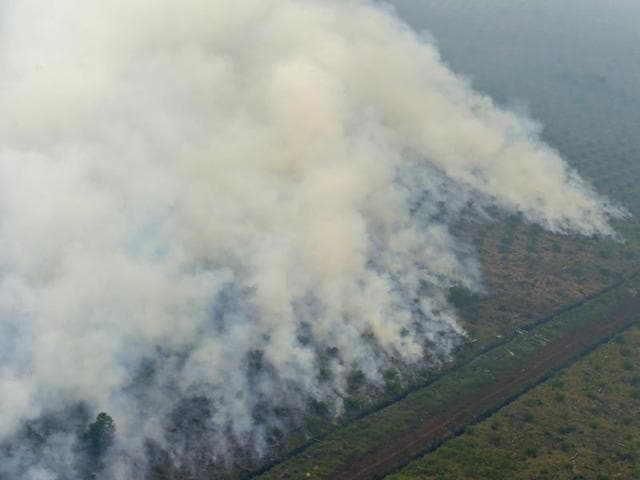 This file picture taken on September 17, 2015 from a Kamov helicopter operated by Indonesia's Disaster Mitigation Agency shows fires burning at a concession area in Pelalawan, Riau province. (AFP) This file picture taken on September 17, 2015 from a Kamov helicopter operated by Indonesia's Disaster Mitigation Agency shows fires burning at a concession area in Pelalawan, Riau province. (AFP)