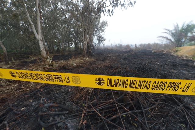 In this file picture taken on September 15, 2015, a cordon is placed near a burnt area that translates as "Do not cross" by Indonesian officials from the Ministry of Environment and Forestry during investigations in Rimbo Panjang, Riau province. (AFP) In this file picture taken on September 15, 2015, a cordon is placed near a burnt area that translates as "Do not cross" by Indonesian officials from the Ministry of Environment and Forestry during investigations in Rimbo Panjang, Riau province. (AFP)