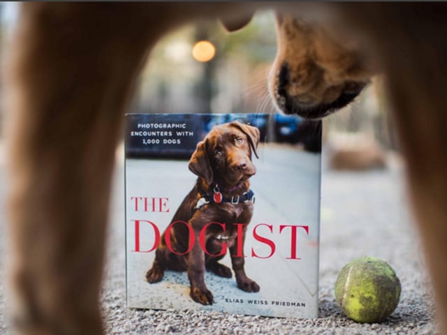 New York-based photographer Elias Weiss Friedman has compiled photos from his blog The Dogist into a book, seen here. Friedman says it’s important to make eye contact with a dog before you photograph it. And he doesn’t like to put people in his photos, but sometimes they work well as background. (TheDogist/Instagram) 