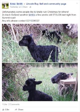 (Facebook) (Facebook)