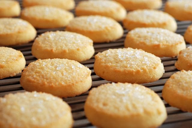 For the study, researchers used five different serotypes of salmonella that had been isolated from foods involved in previous foodborne outbreaks. (Shutterstock)