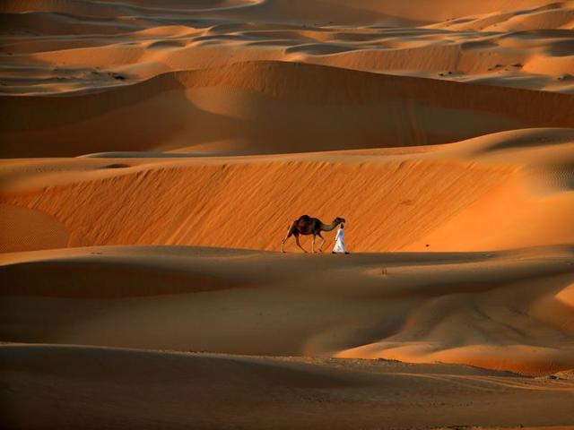 A man walks his camel across the Liwa Oasis, southwest of the Emirati capital, Abu Dhabi, on December 20, 2015. (AFP)