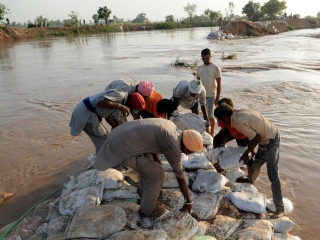 A breech in Ghaggar waterlogged Fuld village of Sangrur district in July . (HT FILE PHOTO) A breech in Ghaggar waterlogged Fuld village of Sangrur district in July . (HT FILE PHOTO)