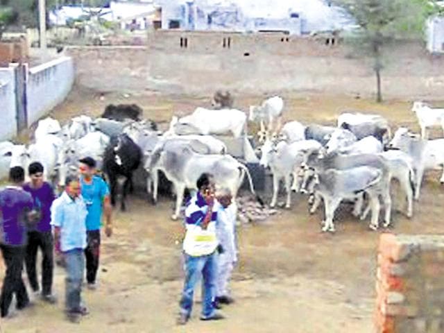 Phule Khan and his family from Ledi village under Ladnu tehsil in Nagaur. (HT Photo) Phule Khan and his family from Ledi village under Ladnu tehsil in Nagaur. (HT Photo)