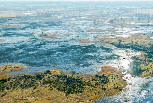 The Okavango Delta in Botswana is a very large inland delta formed where the Okavango River reaches a tectonic trough in the central part of the endorheic basin of the Kalahari. (Shutterstock)