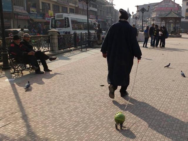 Social media is also abuzz with pictures of the pair, the man in a Kashmir overcoat ‘pheran’ and always photographed from the back.(Facebook Page) Social media is also abuzz with pictures of the pair, the man in a Kashmir overcoat ‘pheran’ and always photographed from the back.(Facebook Page)