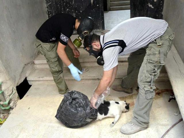 An August 2013 file photo of activists wearing gas masks bag a dead cat as they collect samples for chemical weapon use in Syria’s Zamalka area. A fact-finding mission of the global anti-chemical weapons watchdog has found signs that some people in Syria were exposed to deadly sarin gas, or a compound like it, according to a January 5, 2016 report. (Reuters Photo) An August 2013 file photo of activists wearing gas masks bag a dead cat as they collect samples for chemical weapon use in Syria’s Zamalka area. A fact-finding mission of the global anti-chemical weapons watchdog has found signs that some people in Syria were exposed to deadly sarin gas, or a compound like it, according to a January 5, 2016 report. (Reuters Photo)