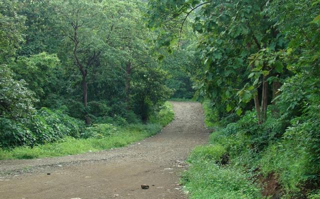 At Tungareshwar Wildlife Sanctuary you can see birds like Rufous Treepie, White Wagtail, Ashy Drongo, Yellow-Eyed Babbler (www.bnhs.org)