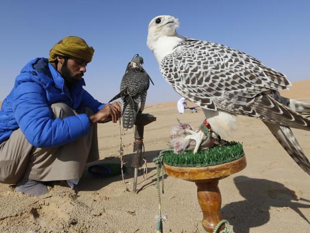 Another falconer with his pets during the festival. (AFP) Another falconer with his pets during the festival. (AFP)