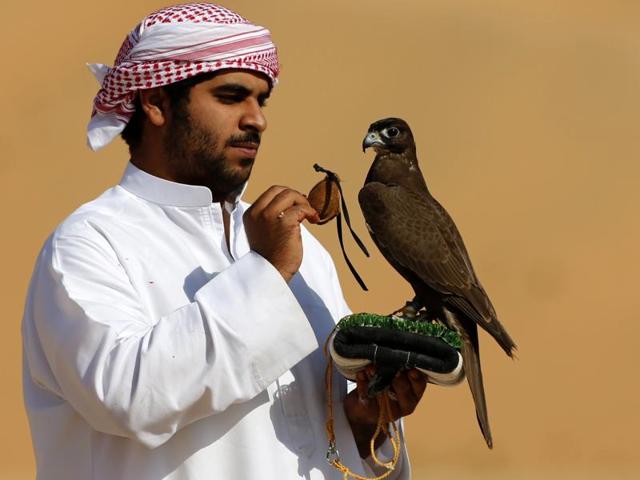 An Emirati falconer prepares to train his bird during the festival. The Moreeb Dune, one of the highest sand hills in the world, has an altitude of about 300m, with slopes of up to 50 degrees. (AFP) An Emirati falconer prepares to train his bird during the festival. The Moreeb Dune, one of the highest sand hills in the world, has an altitude of about 300m, with slopes of up to 50 degrees. (AFP)
