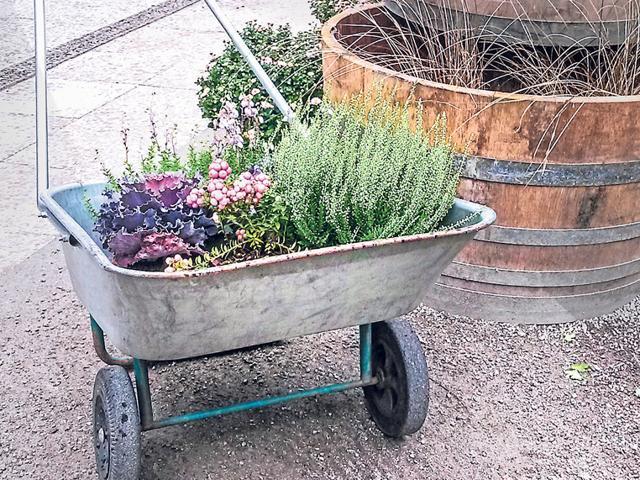 With some creativity, you could turn a pushcart into a picturesque planter. (ISTOCK)
