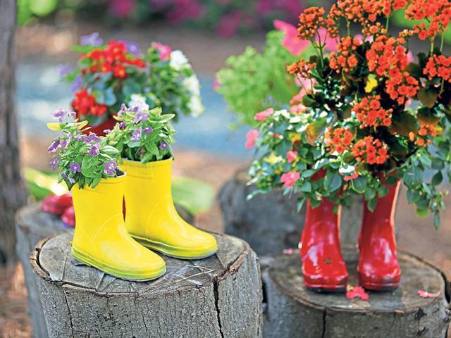 Winter boots as planters sit pretty on your centre table. (ISTOCK)