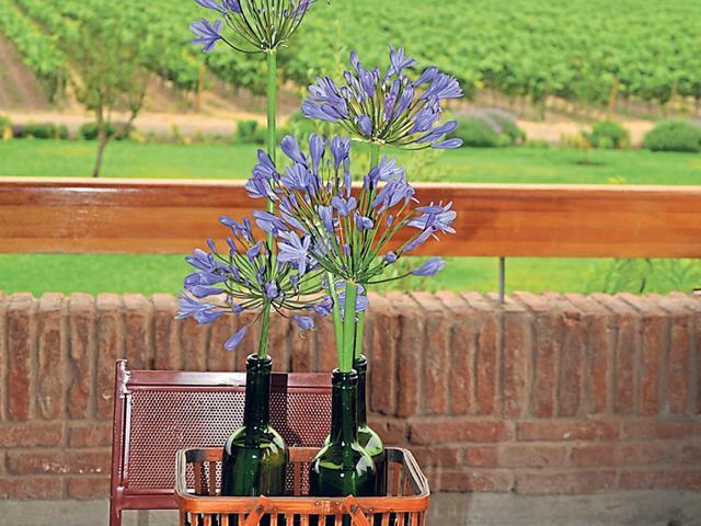 Post wining, don’t throw away your empty wine bottles. (ISTOCK)